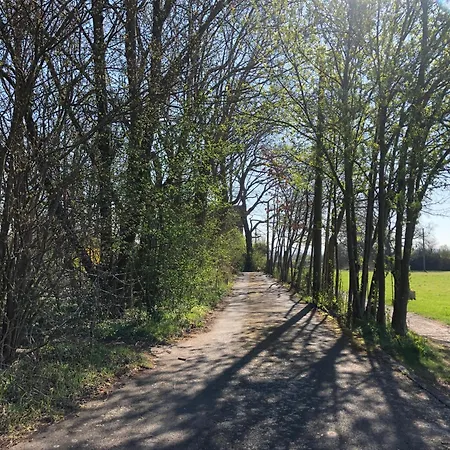 Einmalige Moderne Naturoase Mitten In Der Stadt Daire Kassel