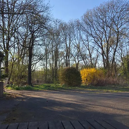 Einmalige Moderne Naturoase Mitten In Der Stadt *