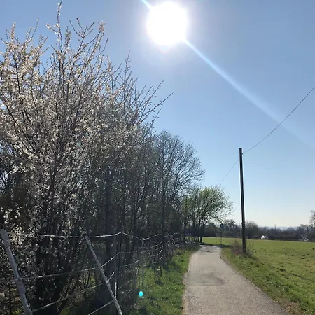Apartament Einmalige Moderne Naturoase Mitten In Der Stadt *