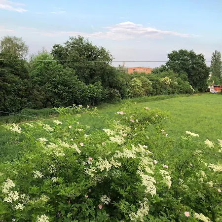 Einmalige Moderne Naturoase Mitten In Der Stadt Apartament Kassel