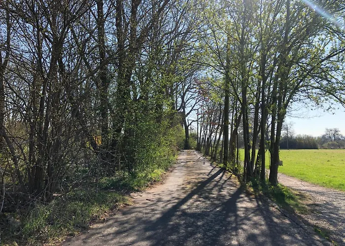 Einmalige Moderne Naturoase Mitten In Der Stadt Daire Kassel