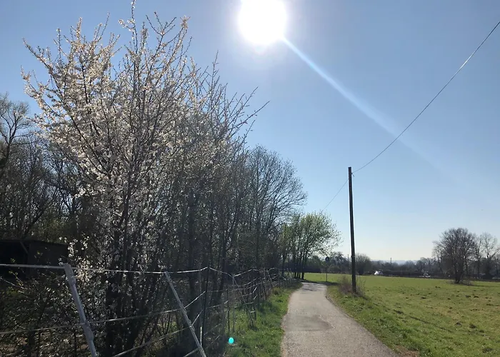 Daire Einmalige Moderne Naturoase Mitten In Der Stadt *