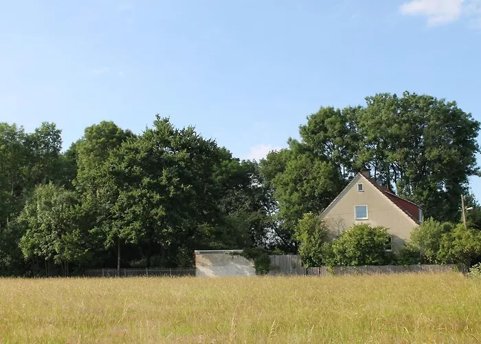 Einmalige Moderne Naturoase Mitten In Der Stadt * Kassel