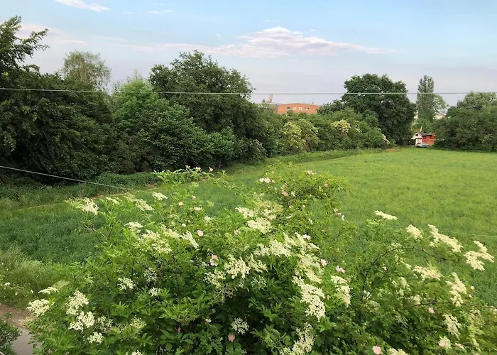 Einmalige Moderne Naturoase Mitten In Der Stadt Daire Kassel