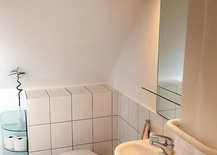 Einmalige Moderne Naturoase Mitten In Der Stadt * Kassel